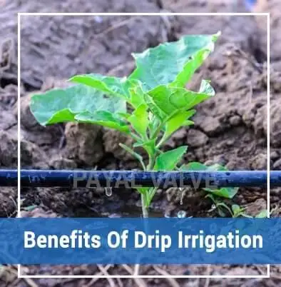 drip irrigation Systems