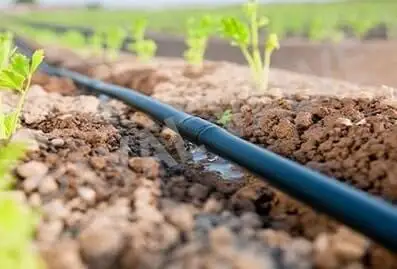 drip irrigation system india