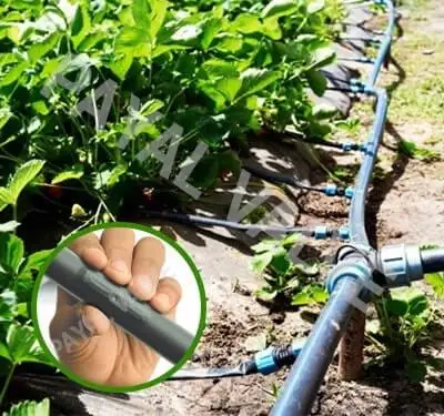 Manufacturer And Supplier Of Drip Irrigation System